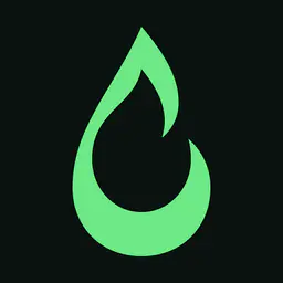TORCH