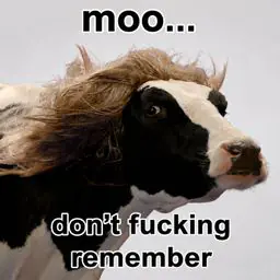 MOO