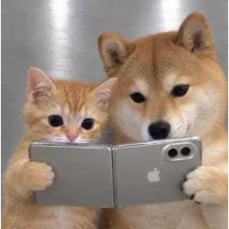 DUO