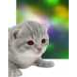 gary